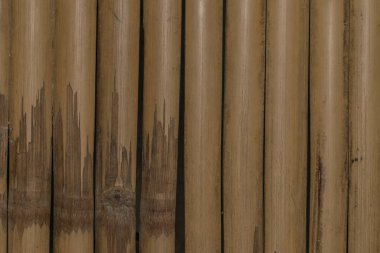 ağaç ahşap dokusu arkaplanı