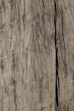 ağaç ahşap dokusu arkaplanı