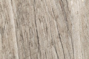 ağaç ahşap dokusu arkaplanı