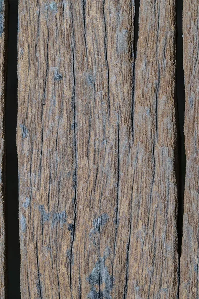 Árbol Textura Madera Fondo — Foto de Stock