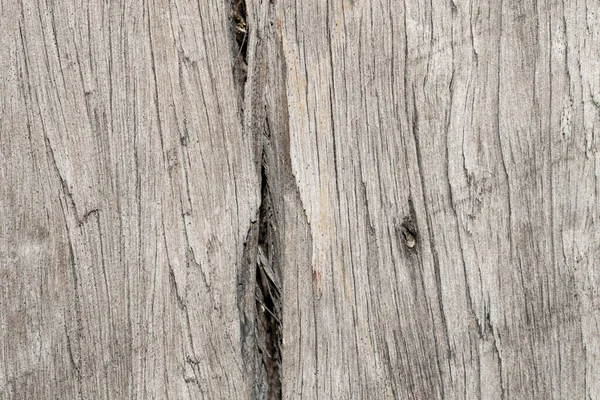 Tekstura Drewna Drzewa Tło — Zdjęcie stockowe