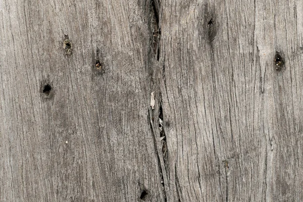 Arbre Bois Texture Fond — Photo