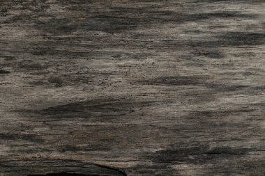 ağaç ağaç dokusu soyut