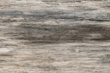 ağaç ağaç dokusu soyut