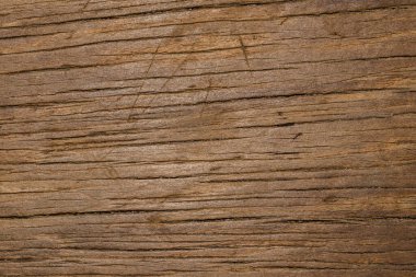 ağaç ağaç dokusu soyut