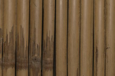 ağaç ağaç dokusu soyut