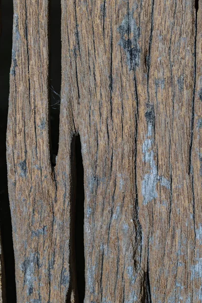 Árbol Textura Madera Abstracta —  Fotos de Stock