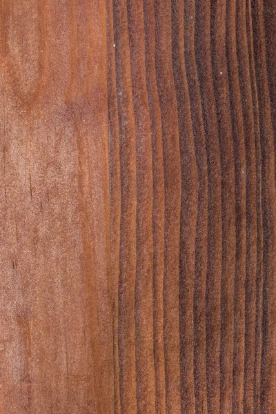 Textura Dřeva Stromu Abstraktní — Stock fotografie