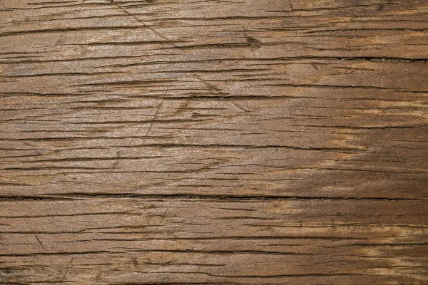 Tree Wood Texture Abstract — Stock Photo, Image