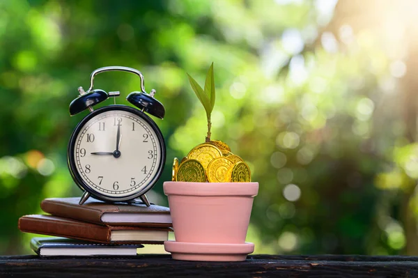 Pflanze Wächst Sparmünzen Grüner Bokeh Hintergrund Mit Sonnenlicht — Stockfoto