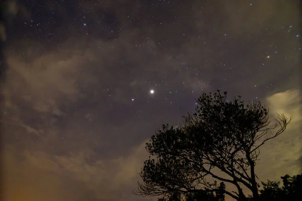 Ciel Nocturne Nuages Silhouettes Arbres — Photo