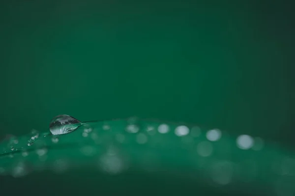 Umwelt Liebe Wasser Tropfen Konzept Hintergrund — Stockfoto