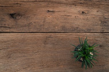 Tahta masa manzaralı ağaçlar