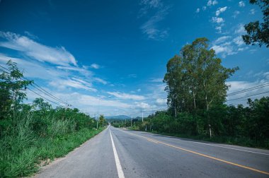 A tranquil scene featuring an empty road surrounded by lush trees and a vibrant blue sky in Chiang Mai, Thailand. Perfect for travel and nature themes.