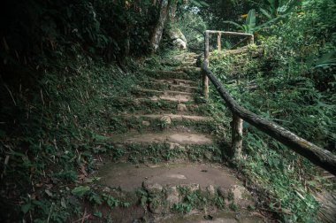 Explore a tranquil pathway surrounded by lush greenery leading to a beautiful waterfall in the mountains of Chiang Mai, Thailand. The serene environment offers a perfect escape into nature.