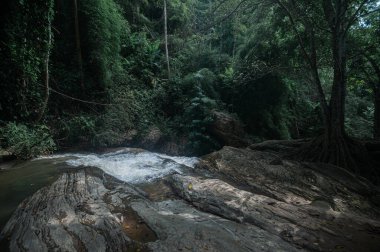 Discover a tranquil waterfall scene in Chiang Mai, surrounded by lush greenery and rocky formations, perfect for nature lovers and adventurers seeking serenity.