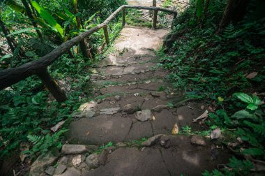 Discover the beauty of nature with this image of serene steps winding down through lush greenery in Chiang Mai, leading to a majestic waterfall.