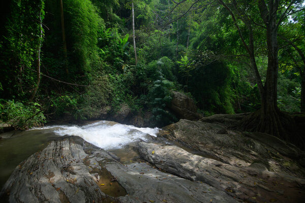 Experience the serene beauty of a waterfall in Chiang Mai, surrounded by lush greenery and vibrant foliage. A perfect blend of nature and tranquility awaits.