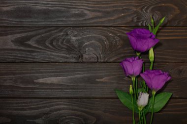 Menekşe çiçek - eustoma, kahverengi ahşap arka plan üzerinde. Kopya alanı.