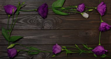 Menekşe çiçek - eustoma, kahverengi ahşap arka plan üzerinde. Kopya alanı.