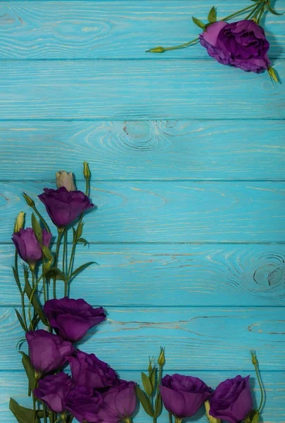 Menekşe çiçek - eustoma, mavi beyaz bir arka plan üzerinde. Kopya alanı.