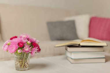 Bej kanepe ekose ve oturma odasında kitaplarla renkli yastıklar (pembe, gri, beyaz) ile. Seçici odak.