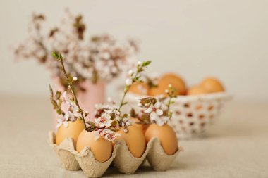 Mutlu Paskalyalar. Paskalya dekorasyon - yumurta kabuğundan dallarında çiçeklenme. Seçici odak.