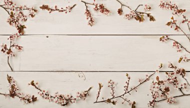 Mutlu Paskalyalar. Paskalya dekorasyon - Paskalya yumurtaları ve çiçekli dallar Beyaz ahşap zemin üzerinde. Seçici odak.