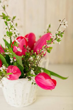 Pembe lale ile ışık ahşap arka plan üzerinde yeni gelişen bir ağacın bahar buket. Seçici odak.