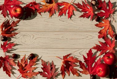 Sonbahar renkleri. Gri ahşap arka planda kırmızı akçaağaç yaprakları. Seçici odaklanma. Bulanık etkisi.