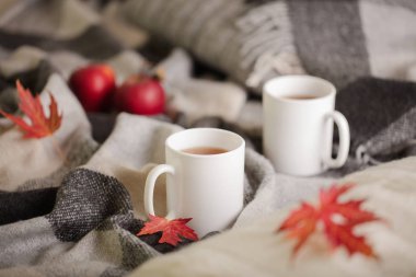 Ev rahatlık ve sıcaklık sonbahar zamanında. Gri şal, Örgü yastık, çay ve sonbahar kırmızı akçaağaç yaprakları. Seçici odak.