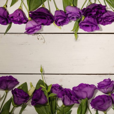 Menekşe çiçek - eustoma, Beyaz ahşap zemin üzerinde. Kopya alanı.