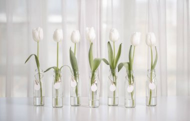 Yumurta beyaz bir tablo şeklinde Paskalya süslemeli beyaz laleler şişelerde. Seçici odak.