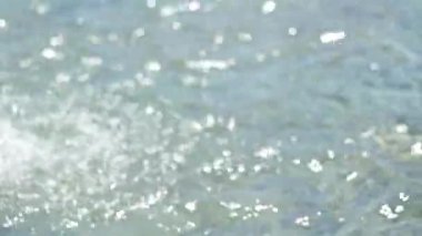 Güneşli bir gün. Güzel güneş parlamayı su. Makro çekim, arka plan bulanık. Seçici odak.