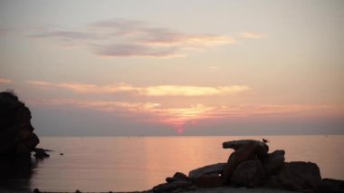 Güzel pembe günbatımı (gündoğumu) denizde martılar uçan tam sakin. Seçici odak.