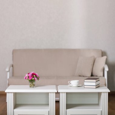 Bej kanepe yastık salon ve çiçekli vazo ile