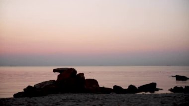 Güzel altın gün batımı (gündoğumu) denizde martılar uçan tam sakin. Seçici odak.