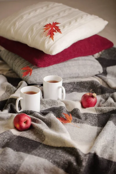 Home comfort and warmth in the autumn time. Gray plaid, knitted