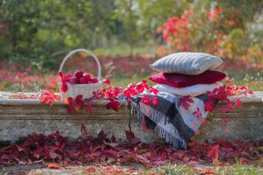 Sonbahar Bahçesi. Taş bankta bir battaniye, yastık, bir