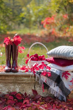 Sonbahar Bahçesi. Taş bankta bir battaniye, yastık, bir