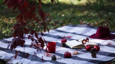 Sonbahar sıcağı. Hint yazı. Bahçede piknik - sonbahar yapraklarının arka planında gri, bordo ve yeşil yastık ve battaniye.