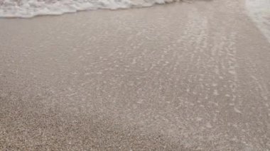 Deniz plajı - yakın çekim, dalgalar, taşlar ve kabuklar, kum ve yosun.