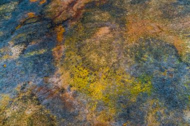 Helikopterden sonbahar tundra görünümü