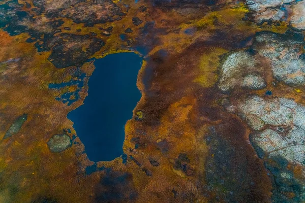 Helikopterden sonbahar tundra görünümü