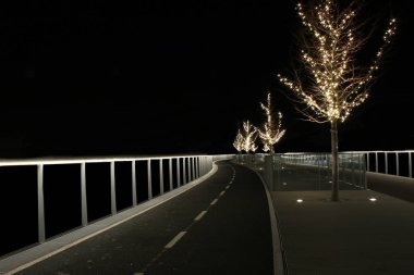 Işıklı bir yol ve ağaçları ile önde gelen tehlikeli karanlığa