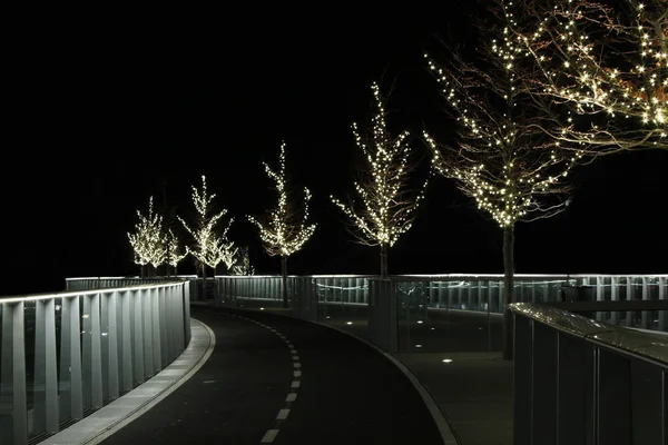 Caminho Iluminado Com Árvores Que Conduzem Infinito — Fotografia de Stock