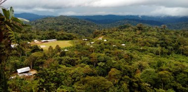 Bir topluluk içinde yerli kulübe alansal görünümünü derinliklerinde amazone, ecuador