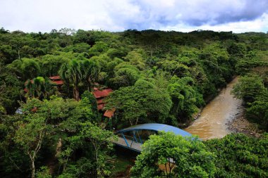 Ormanın ortasında evlere giden kahverengi nehir üzerinde Köprü