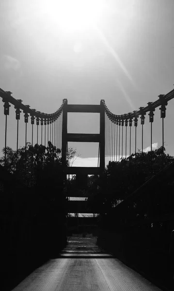 Imagem em preto e branco de uma ponte metálica mostrando uma fileira de cabos com o sol no céu — Fotografia de Stock