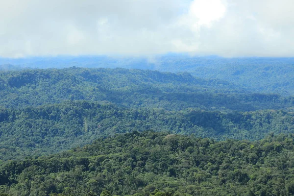 Kilátás a trópusi esőerdők és felhők mozog a — Stock Fotó